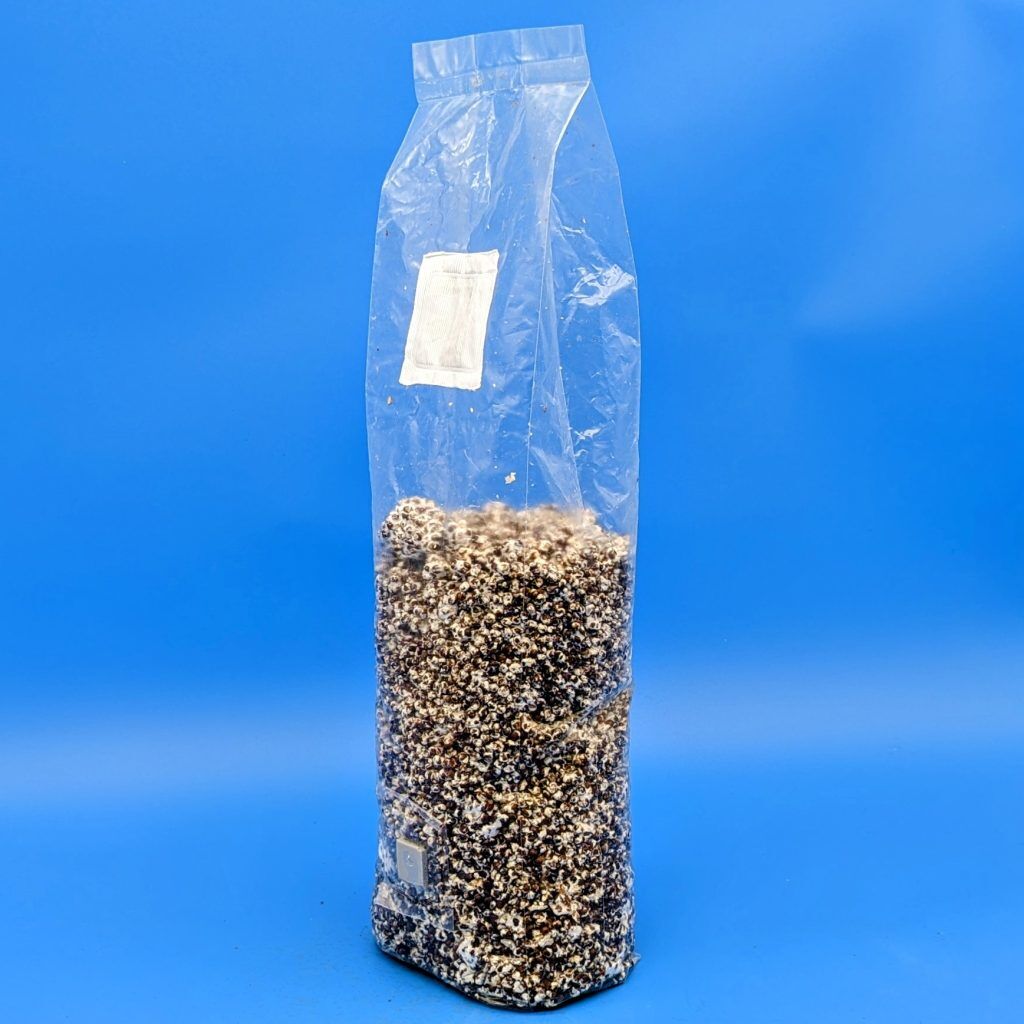 Sterilized Grain Spawn 3 Lbs Bags Spawn Magic